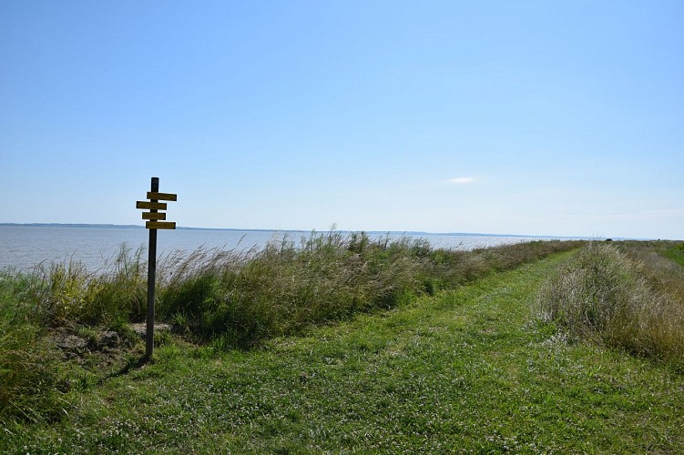 Boucle de l'Estuaire@medoc-atlantique-tourisme_0161