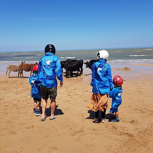 Balade Découverte 1 Heure en Quad