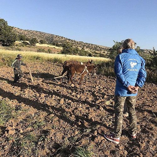 Balade Découverte 1 Heure en Quad
