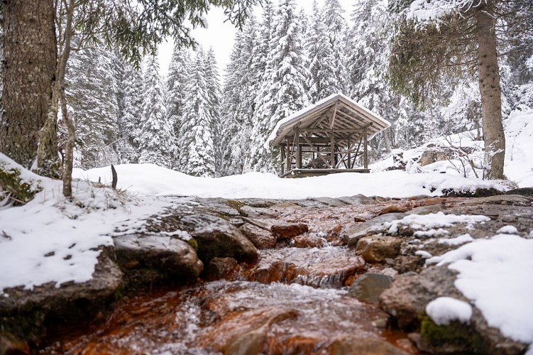 20. Morgins - Vallon de They