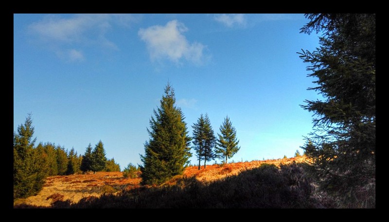 Chaumes de la Haute Loge