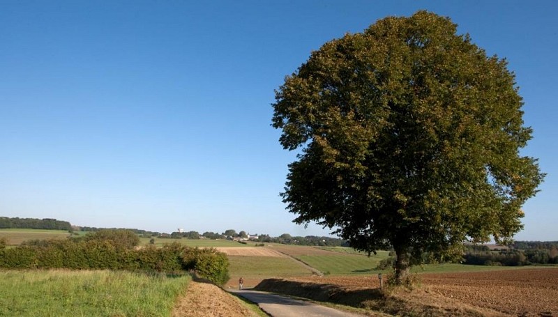 Rue de Maibelle P6 ©Daniel Steenhaut