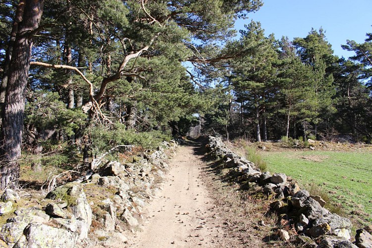 Pic de Montfroment et Bois joli