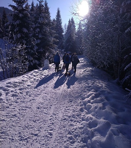 Randonnée raquettes "Le plan des Rasses"