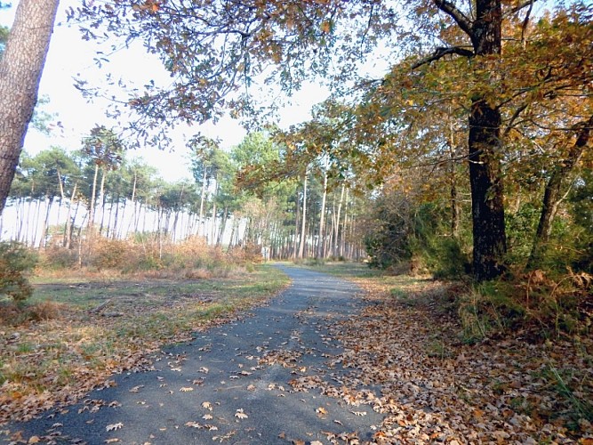 Piste-cyclable-Burgat-SL-17-redi-