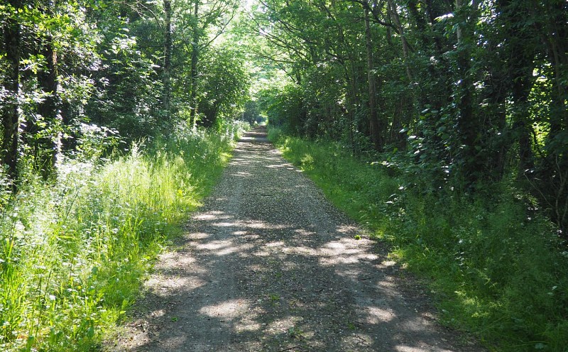 Circuit d'Anthenaise