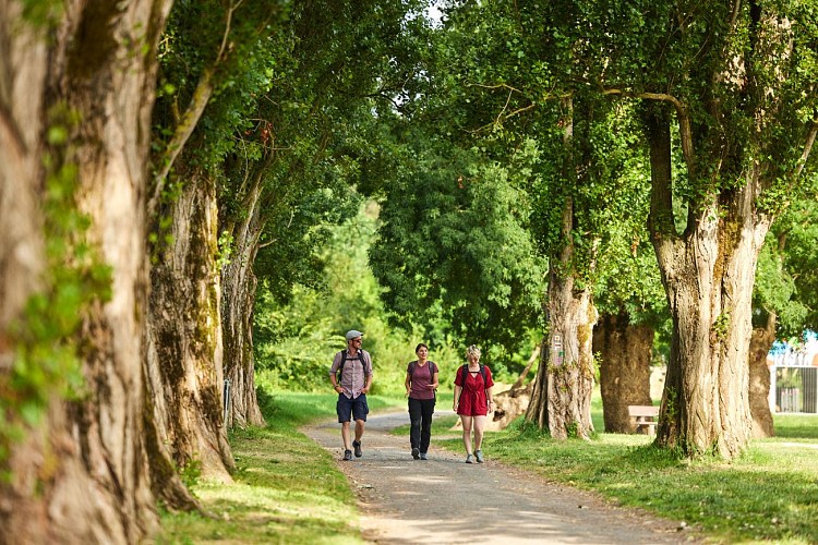 Du château à motte à la vigne par le verger
