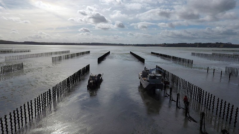 Balade Littorale (9 km)