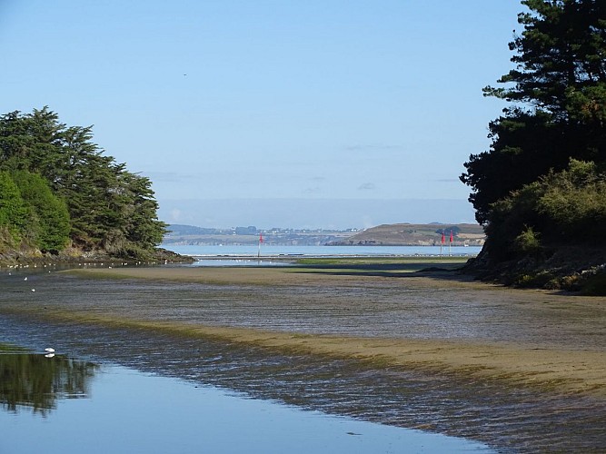 Décollage en aéroplane avec Jean-Marie Le Bris depuis Tréfeuntec