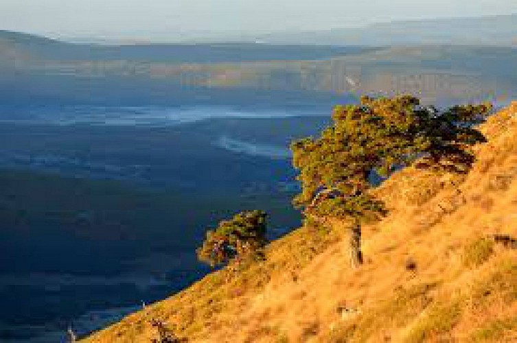 LA MONTAGNE DE LACHENS