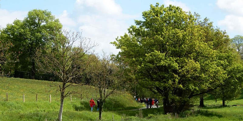 Circuit de l'Aumarin