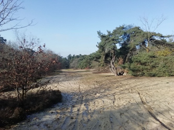 De doortocht door de zandduinen