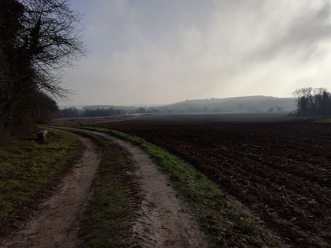 De doortocht door de zandduinen