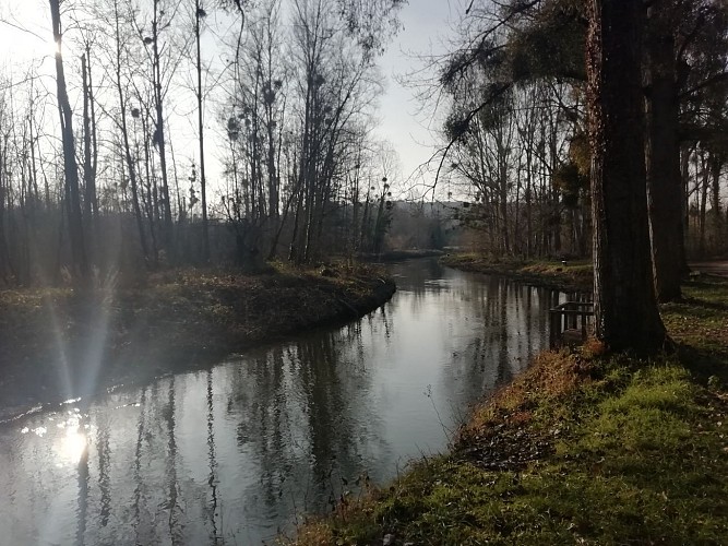 De doortocht door de zandduinen