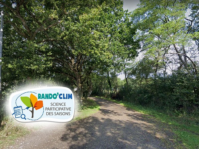 GUERANDE / Rando'Clim - Chemin de Bréhadour