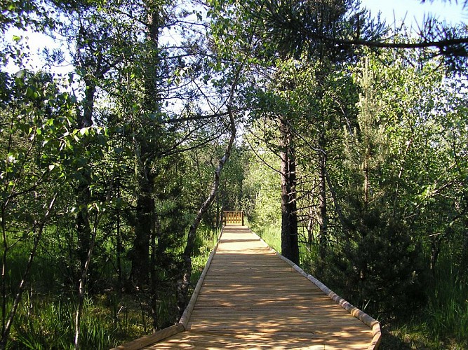 La tourbière des Creugnots, boucle 49