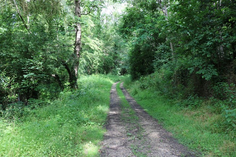 Chemin du moulin des Voies