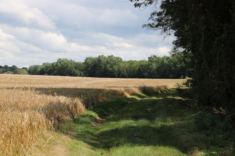 Balade de Blandy-les-Tours à Champeaux