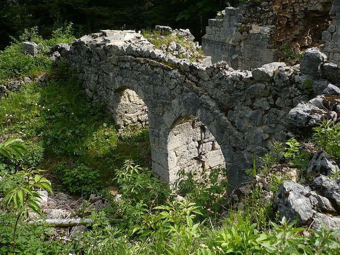 REAUMONT - BOUCLE 35 - LE BELIEU