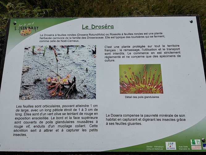 REAUMONT - BOUCLE 35 - LE BELIEU