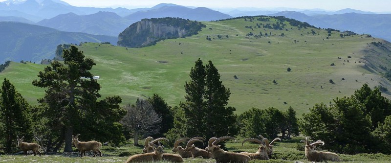 La Traversée Est-Ouest des Hauts-Plateaux du Vercors par le GR®93