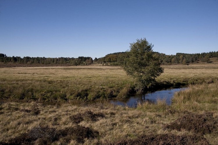 Circuit cyclo sportif Bol d'Or des Monédières_1