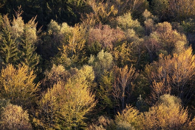 Circuit cyclo sportif Bol d'Or des Monédières