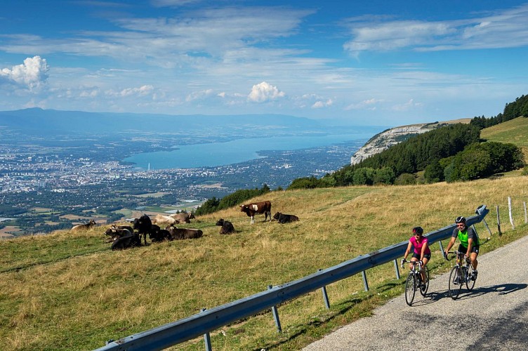 Percorso ciclistico: salita alla tavola panoramica della Salève