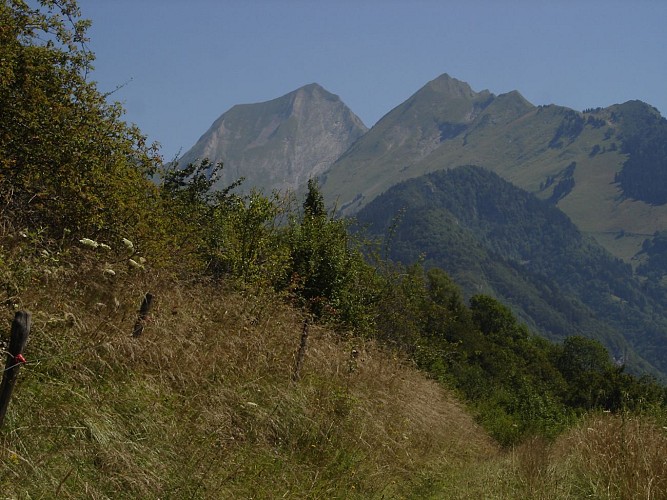 Wandelen : De rots van Nantbellet