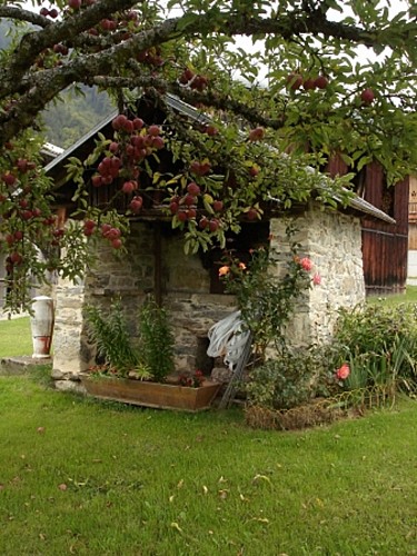 Wandelroute : De gehuchten van Samoëns