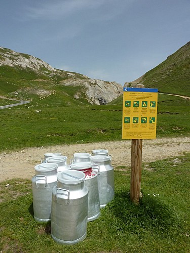 Wandelen op de bergweiden Entre deux Eaux