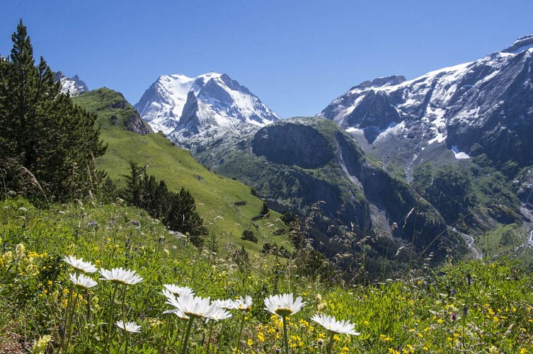 Pralognan-la-Vanoise sentier balcon Bochor