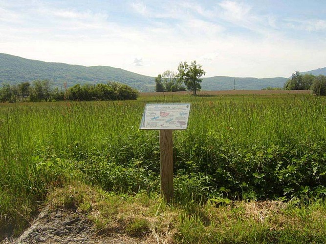 Sentier nature du Vuache