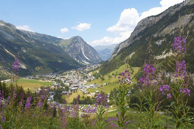 Hike along the penstock (large water pipes)