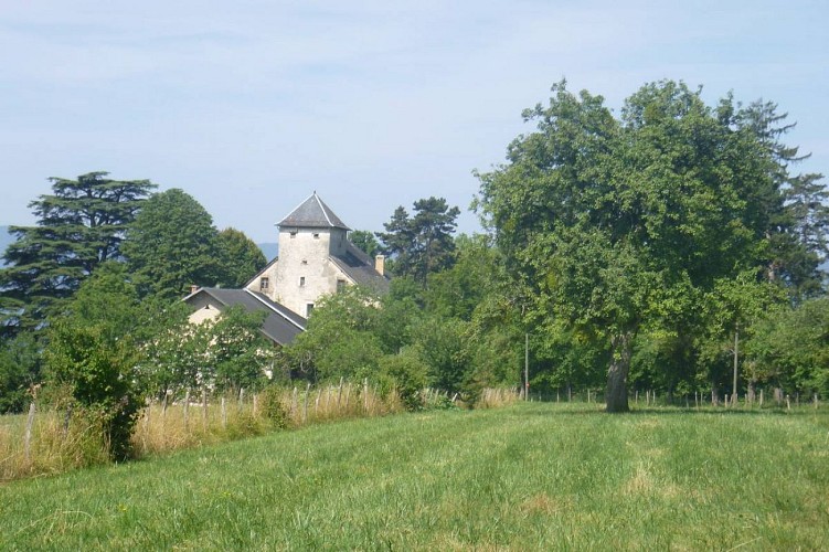 De wijngaardweg