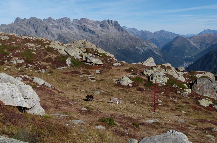 Wanderung Chamonix - Plan de l'Aiguille