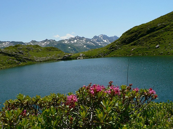 Black Lake Walking Tour