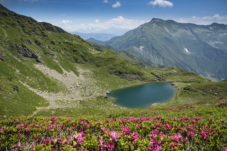 Randonnée du Lac Noir