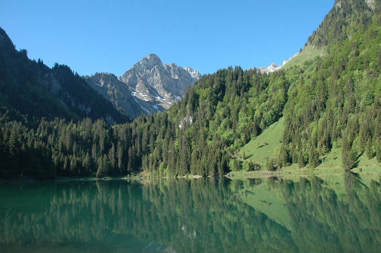 Randonnée du Lac des Plagnes au Lac de Tavaneuse