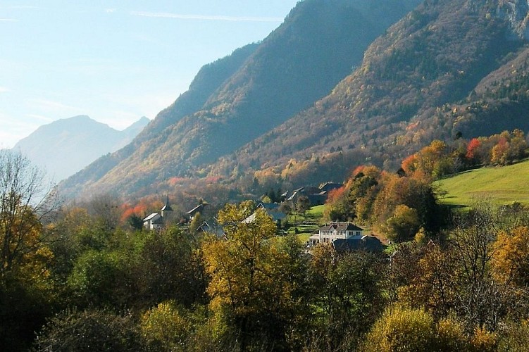 Escapade dans la forêt du Tal