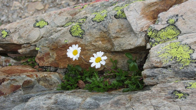Les trois lacs et refuge de l'Etendard