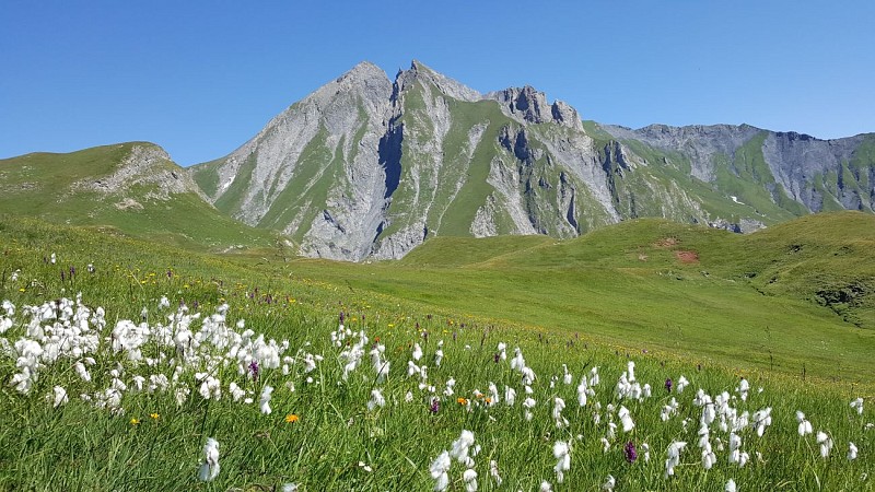 Les Cinq Lacs de la Forclaz