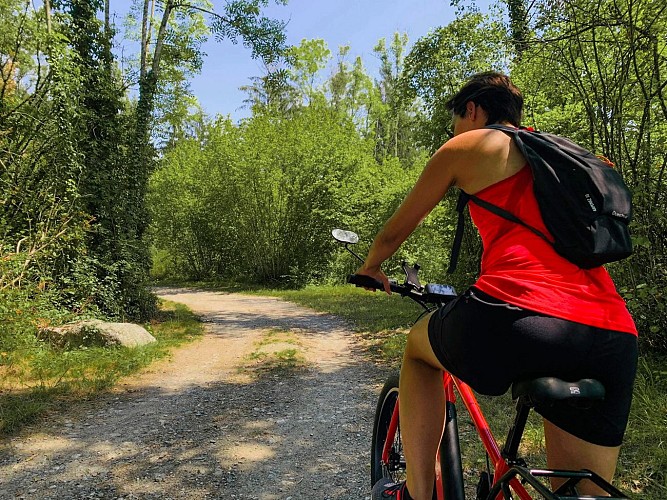 Cheminement Léman Mont Blanc