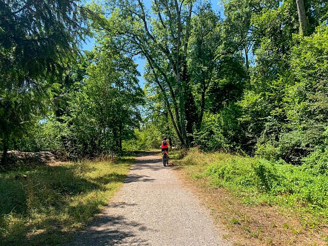 Cheminement Léman Mont Blanc
