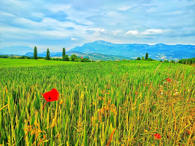 Les Balcons de St-Paul sur Yenne