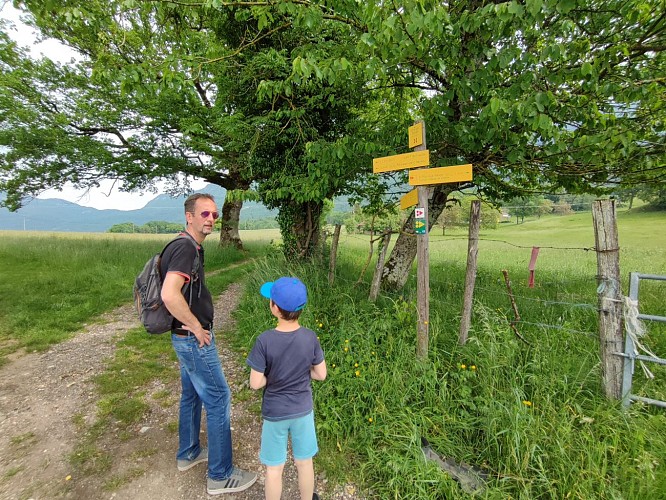De Balcons van St Paul