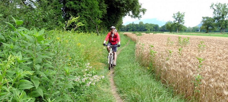 Mountainbikeroutes Circuit de Lagneux