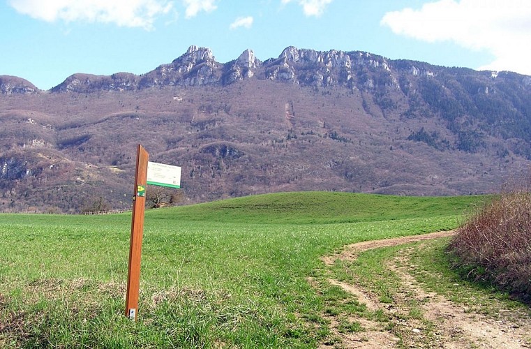 Mountainbikeroutes Circuit des Maisons fortes - n°12