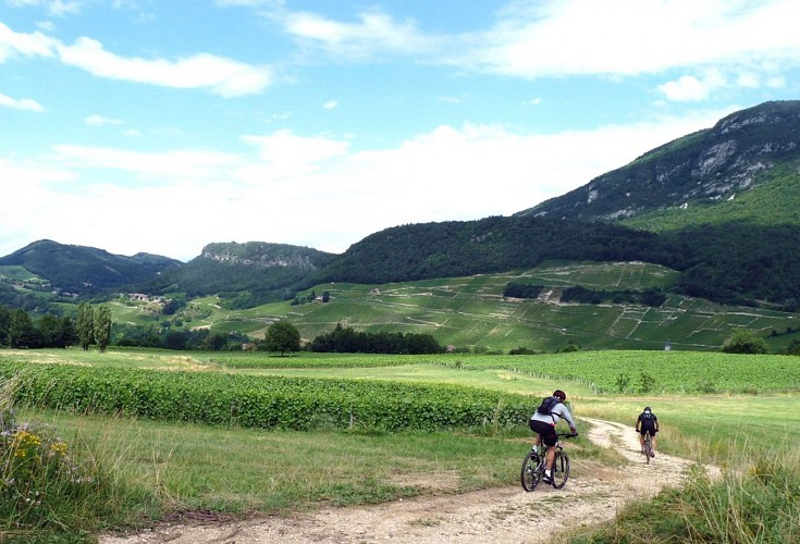 St Romain mountain bike trail - n°14