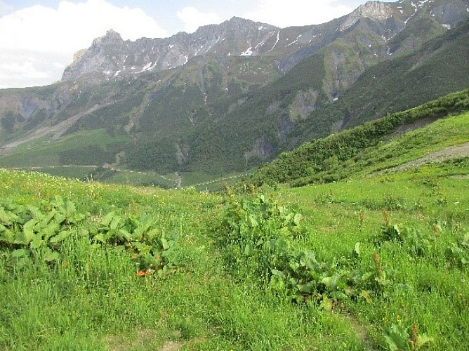 Montagne de Tête - B16
